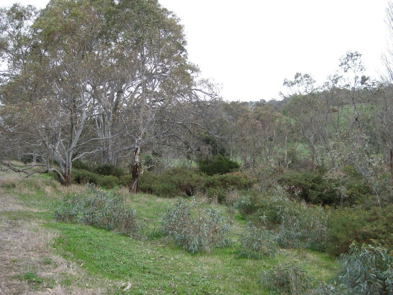 Lot 58 Yacca Road, Wattle Flat SA 5203