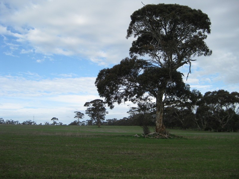 Lot 58 Yacca Road, Wattle Flat SA 5203