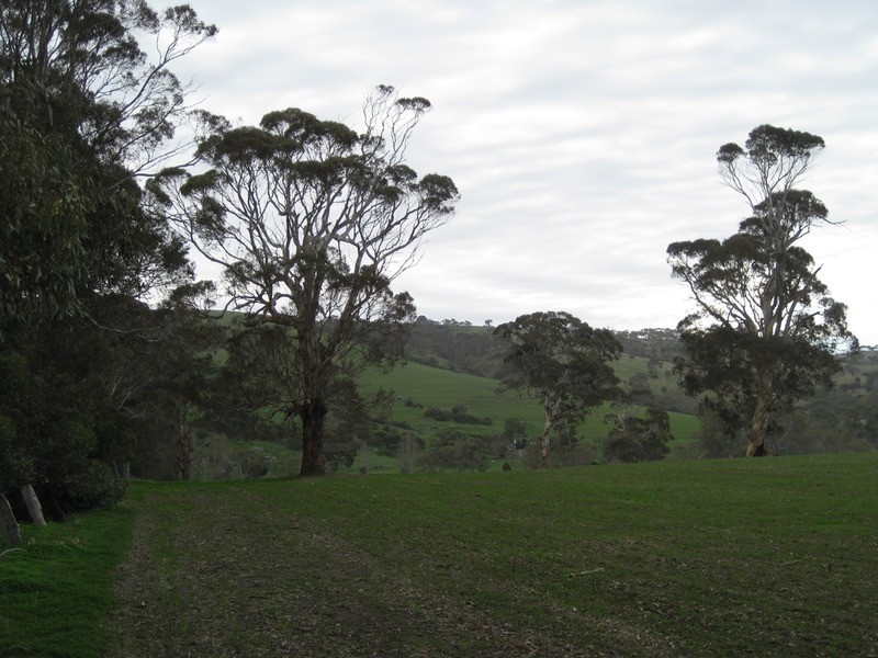 Lot 58 Yacca Road, Wattle Flat SA 5203