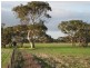 lot 7 Nurragi Road, Finniss SA 5255