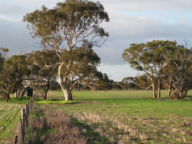 lot 7 Nurragi Road, Finniss SA 5255