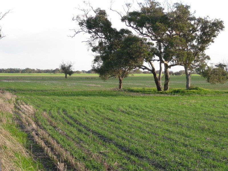 lot 7 Nurragi Road, Finniss SA 5255