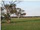 lot 7 Nurragi Road, Finniss SA 5255