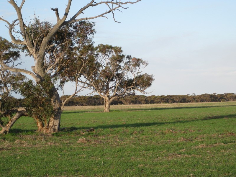 lot 7 Nurragi Road, Finniss SA 5255