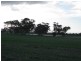 lot 7 Nurragi Road, Finniss SA 5255