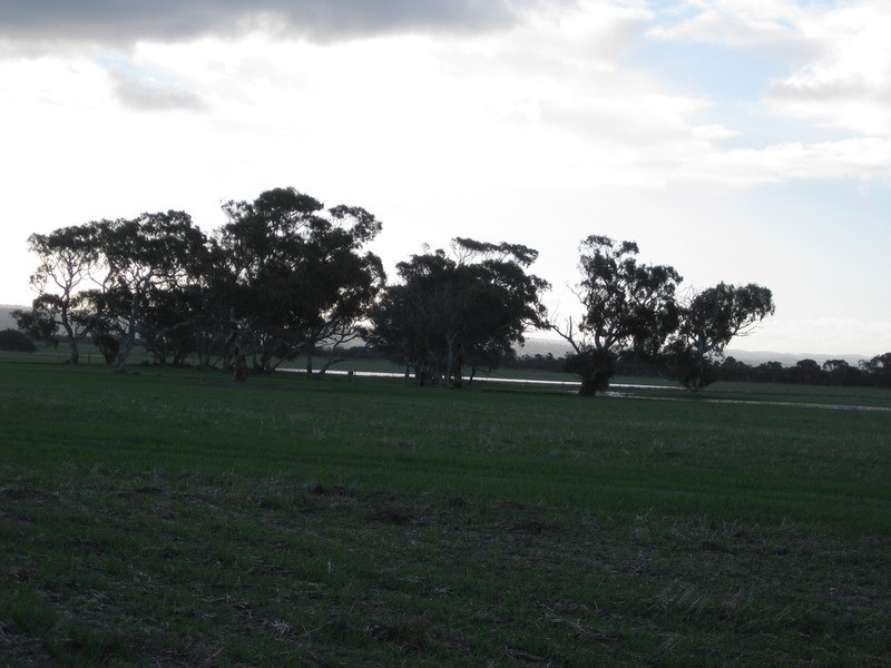 lot 7 Nurragi Road, Finniss SA 5255