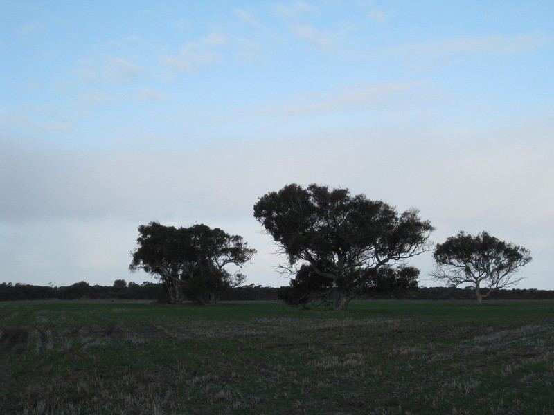 lot 7 Nurragi Road, Finniss SA 5255
