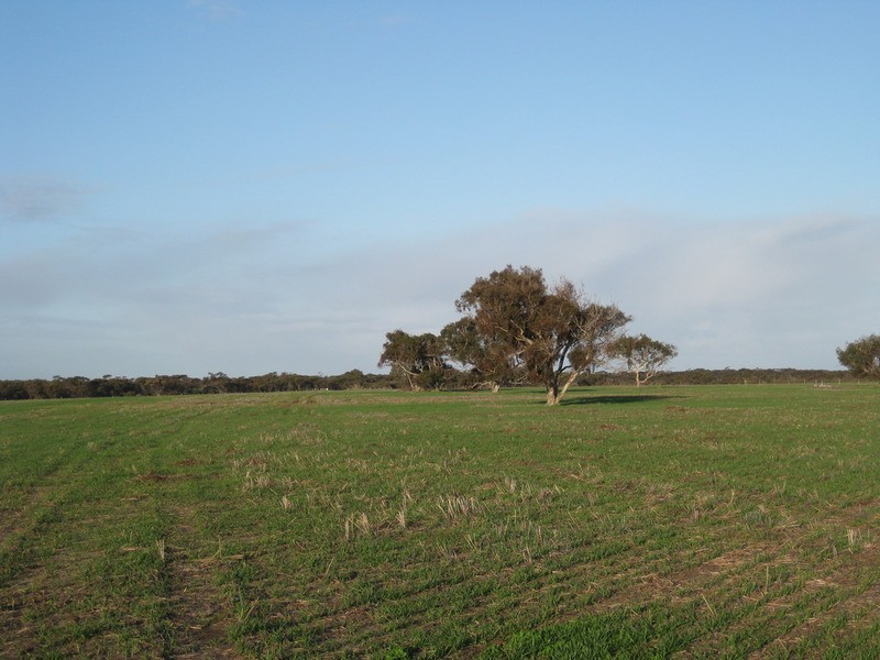 lot 7 Nurragi Road, Finniss SA 5255