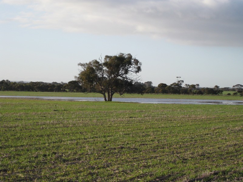 lot 7 Nurragi Road, Finniss SA 5255