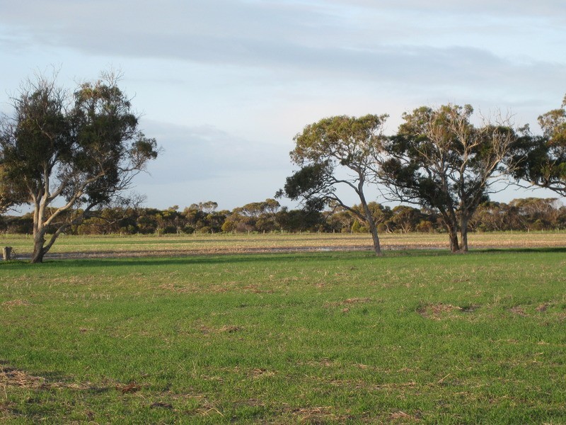lot 7 Nurragi Road, Finniss SA 5255