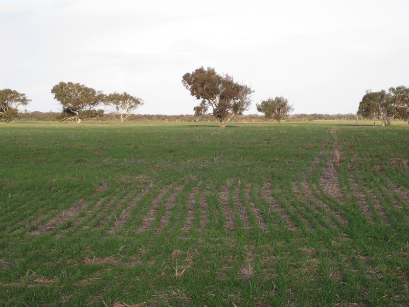 lot 7 Nurragi Road, Finniss SA 5255