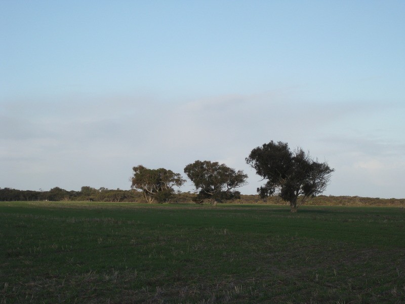 lot 7 Nurragi Road, Finniss SA 5255
