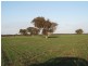 lot 7 Nurragi Road, Finniss SA 5255