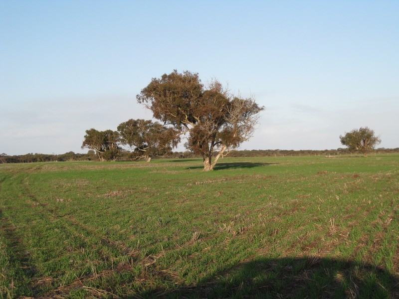 lot 7 Nurragi Road, Finniss SA 5255