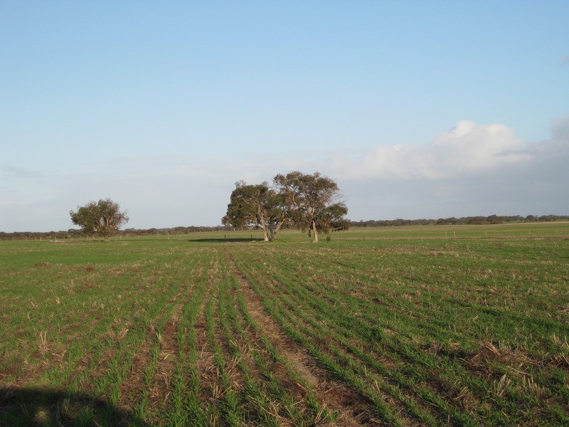 lot 7 Nurragi Road, Finniss SA 5255