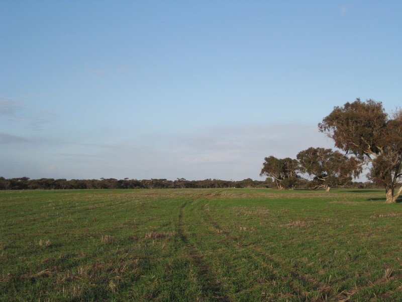 lot 7 Nurragi Road, Finniss SA 5255