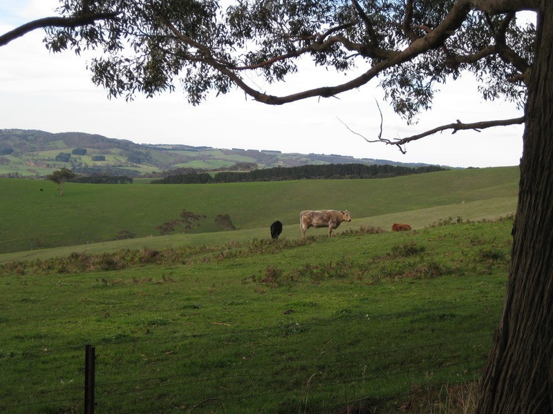 Lot  200 Springmount Road, Myponga SA 5202