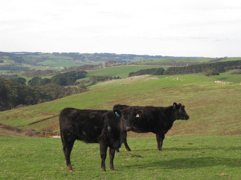 Lot  200 Springmount Road, Myponga SA 5202