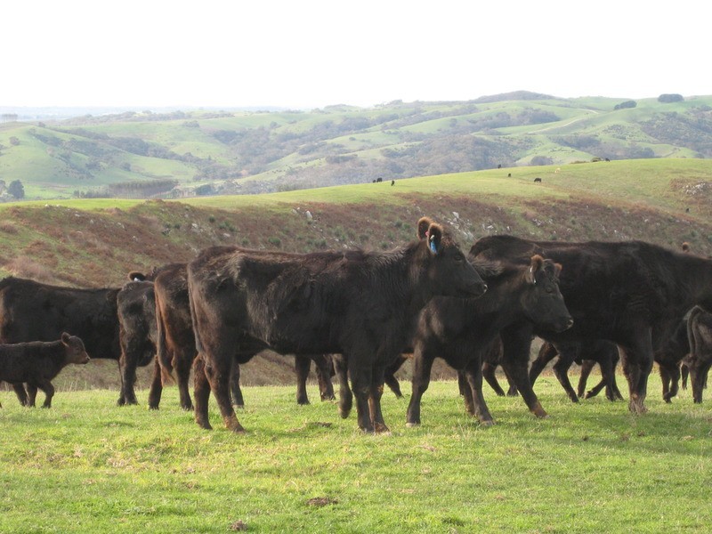 Lot  200 Springmount Road, Myponga SA 5202