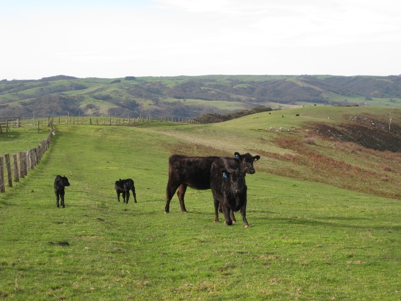 Lot  200 Springmount Road, Myponga SA 5202