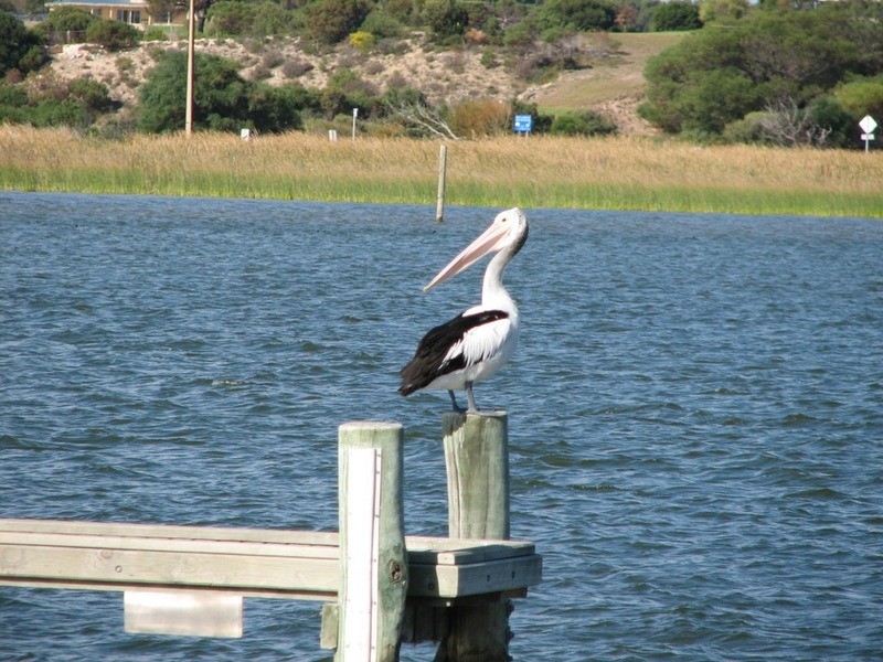8/34 Noble  Avenue, Goolwa SA 5214