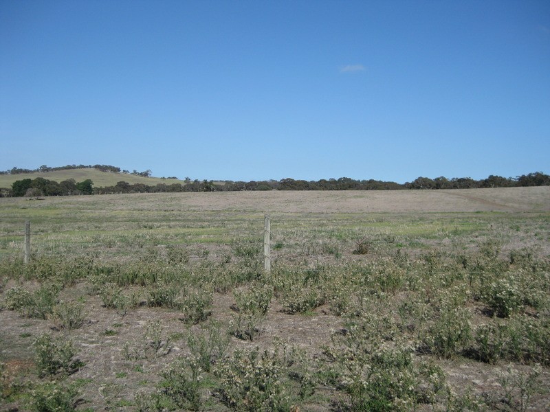 Lot 1 Cleland Gully Road, Mount Compass SA 5210