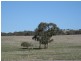 Lot 1 Cleland Gully Road, Mount Compass SA 5210
