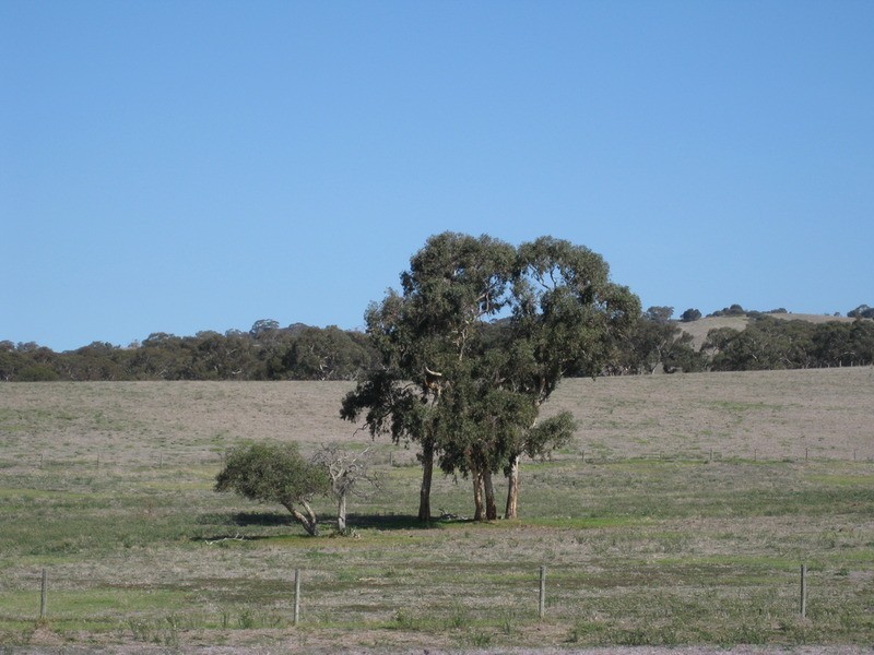 Lot 1 Cleland Gully Road, Mount Compass SA 5210