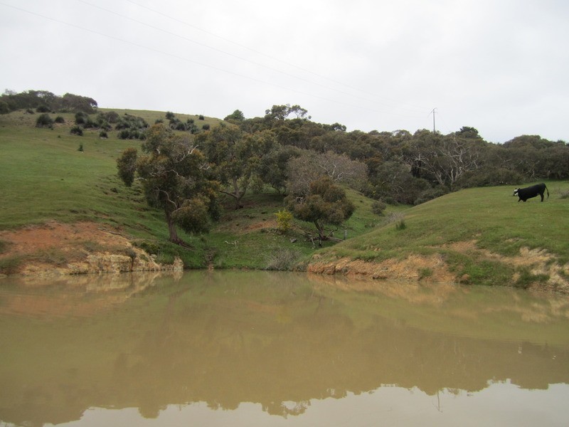 228 Bahloo Glen Road, Mount Compass SA 5210