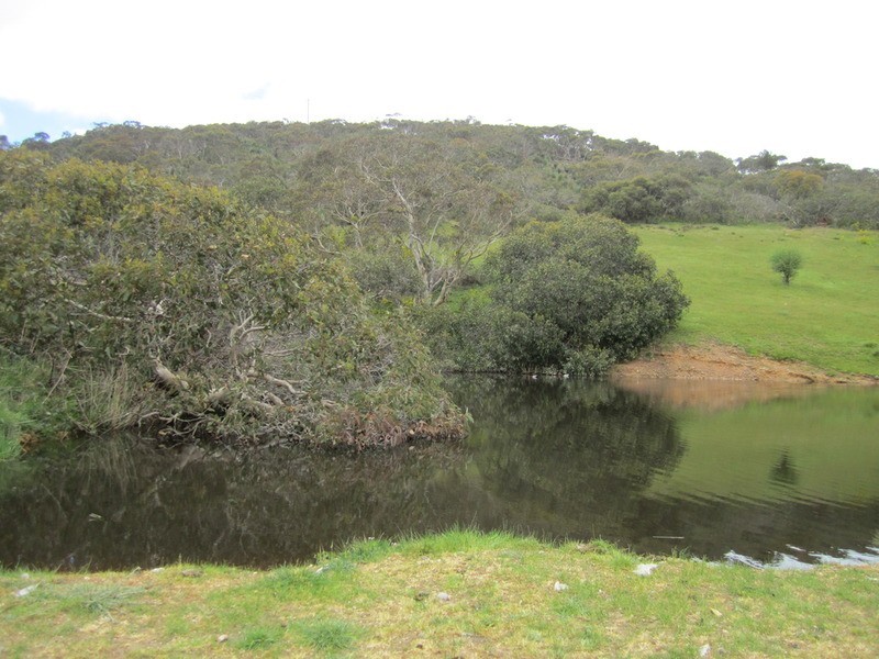 228 Bahloo Glen Road, Mount Compass SA 5210