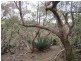 228 Bahloo Glen Road, Mount Compass SA 5210