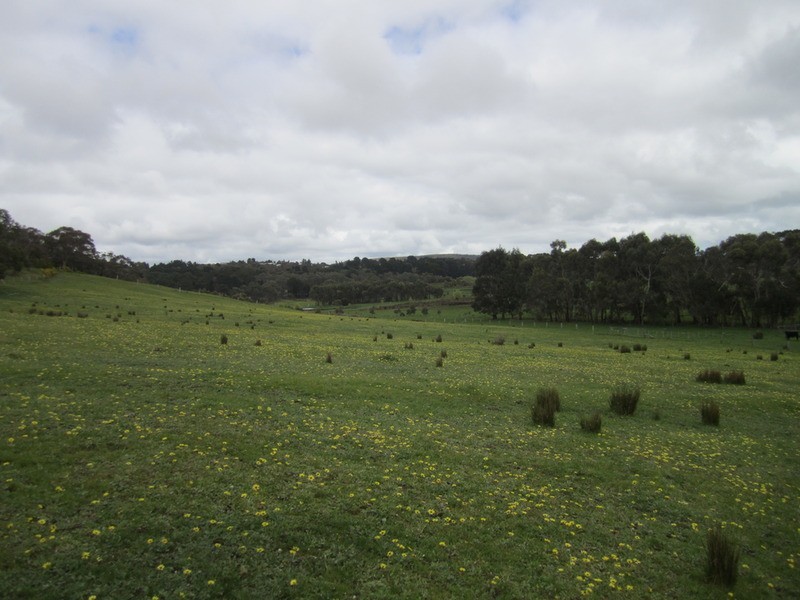 228 Bahloo Glen Road, Mount Compass SA 5210