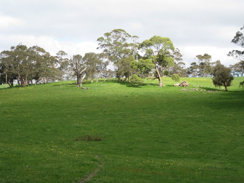 728 Range  Road, The Range SA 5172