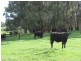 728 Range  Road, The Range SA 5172