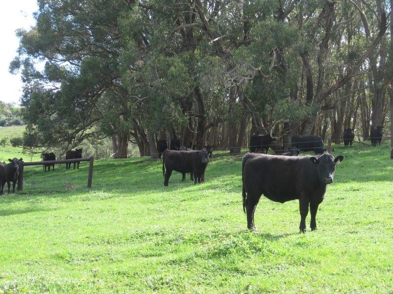 728 Range  Road, The Range SA 5172