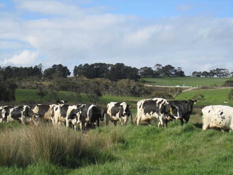 Lot 1 & 2 Main Victor Harbor Road, Mount Compass SA 5210