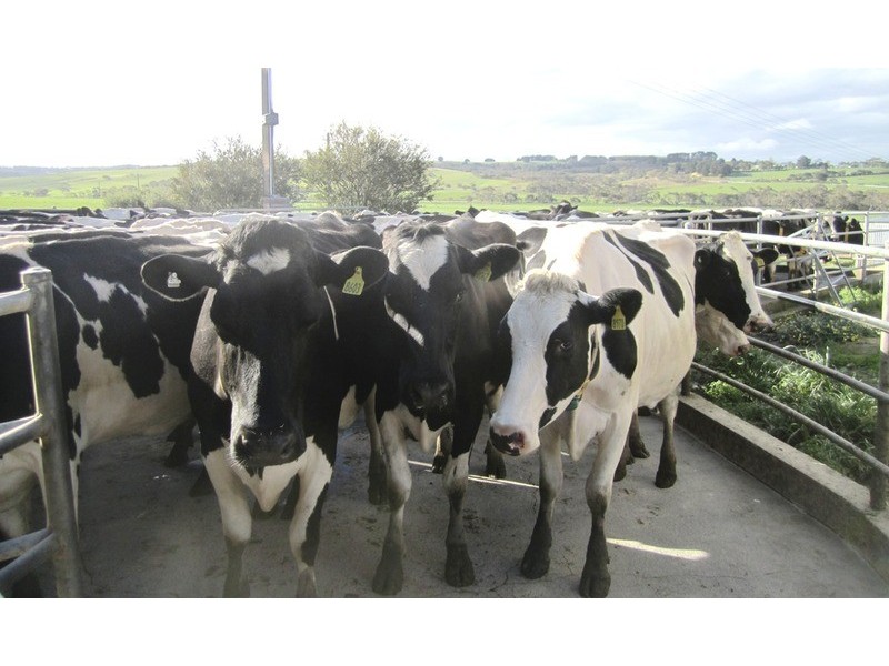 Lot 1 & 2 Main Victor Harbor Road, Mount Compass SA 5210