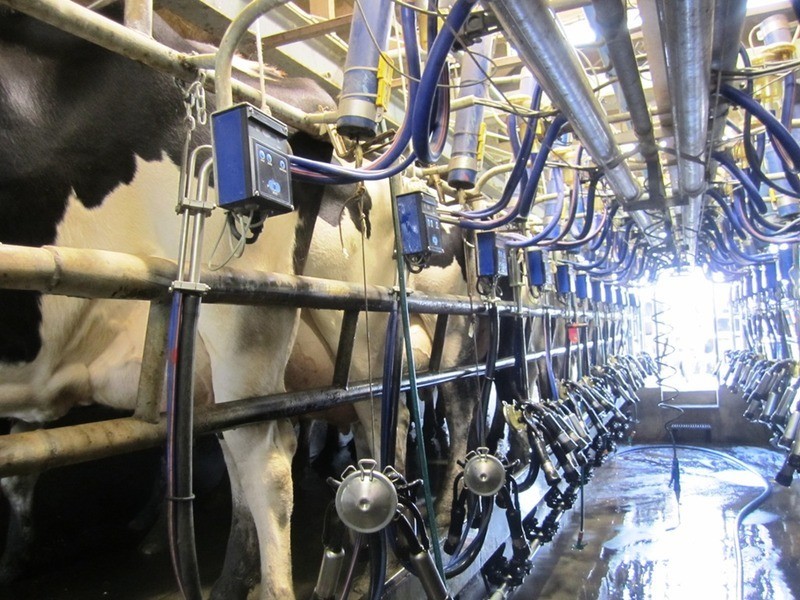 Lot 1 & 2 Main Victor Harbor Road, Mount Compass SA 5210