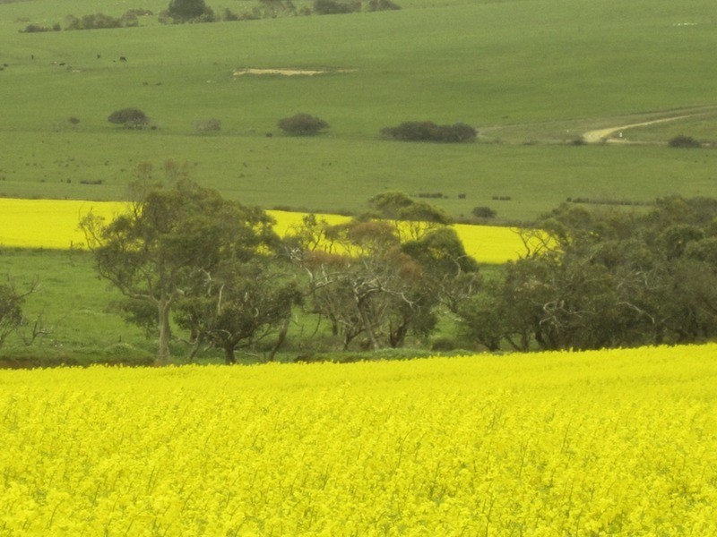 Lot 1 & 2 Main Victor Harbor Road, Mount Compass SA 5210