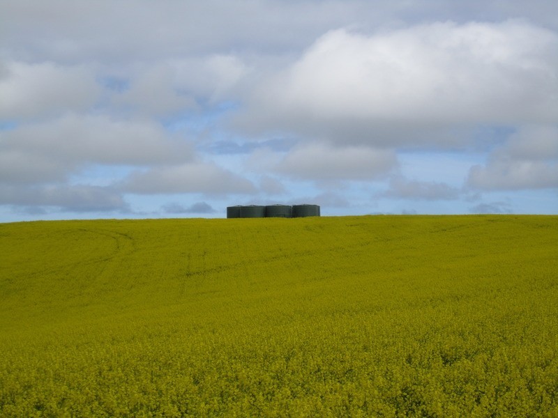 Lot 1 & 2 Main Victor Harbor Road, Mount Compass SA 5210