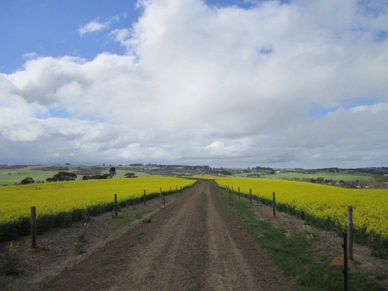 Lot 1 & 2 Main Victor Harbor Road, Mount Compass SA 5210