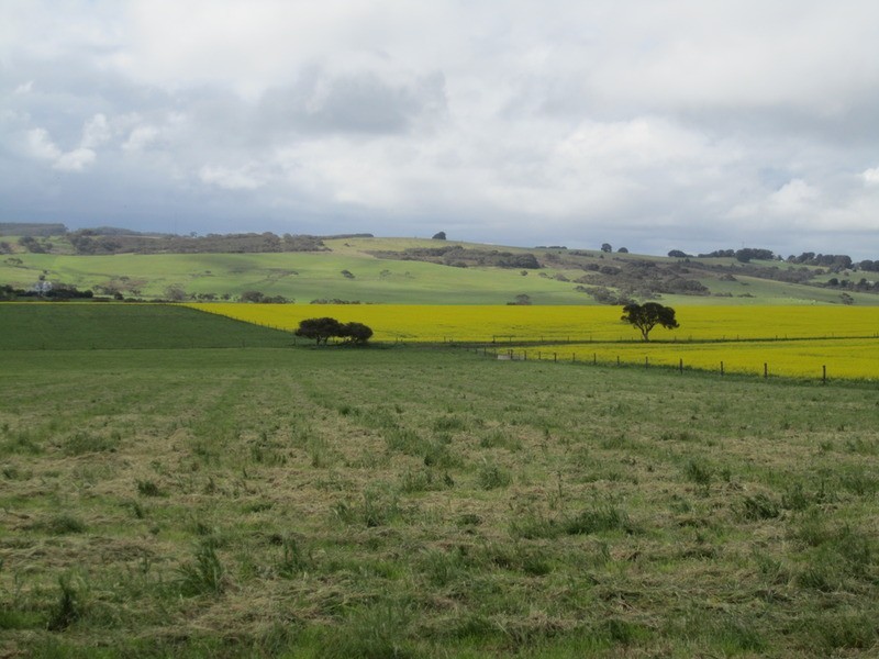 Lot 1 & 2 Main Victor Harbor Road, Mount Compass SA 5210