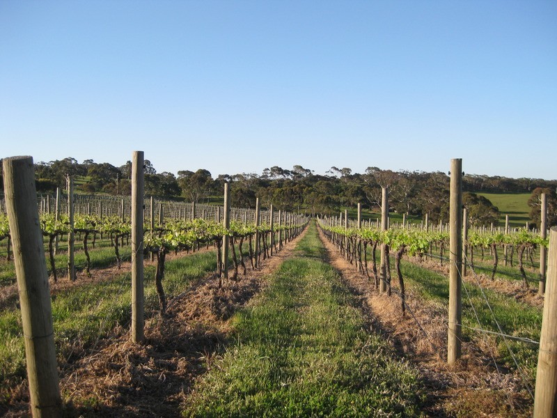 Lot 200 Trig Point Road, Currency Creek SA 5214