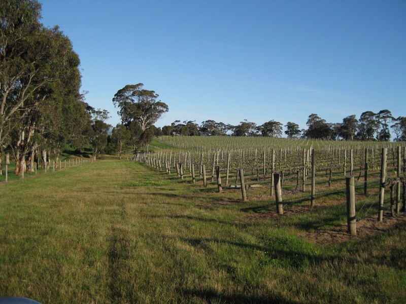 Lot 200 Trig Point Road, Currency Creek SA 5214