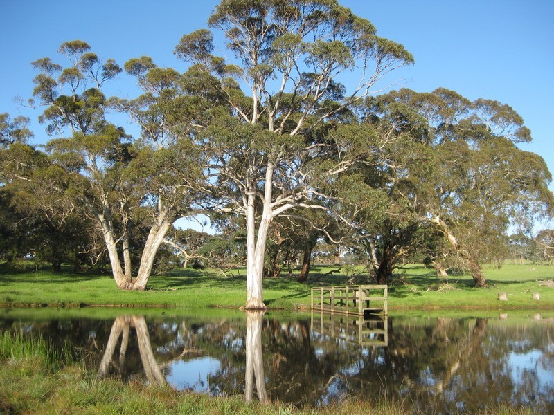 84 Range  Road, Willunga Hill SA 5172