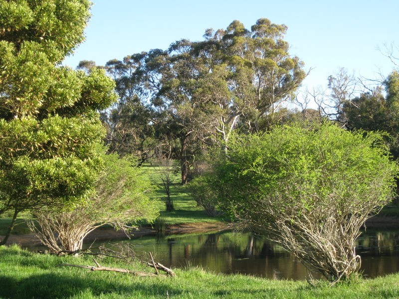 84 Range  Road, Willunga Hill SA 5172