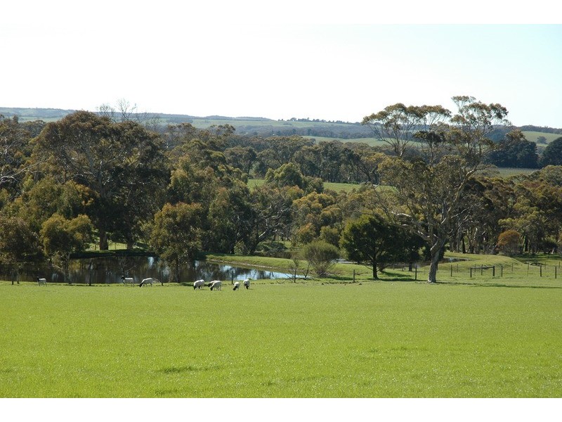 84 Range Road, Willunga SA 5172