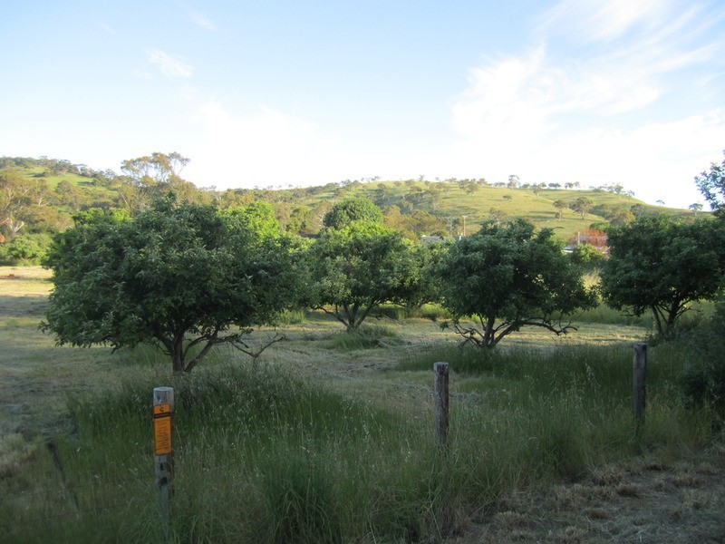 Lot 23 Bull Creek  Road, Ashbourne SA 5157