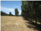 Lot 202 Munetta  Road, Pages Flat SA 5172