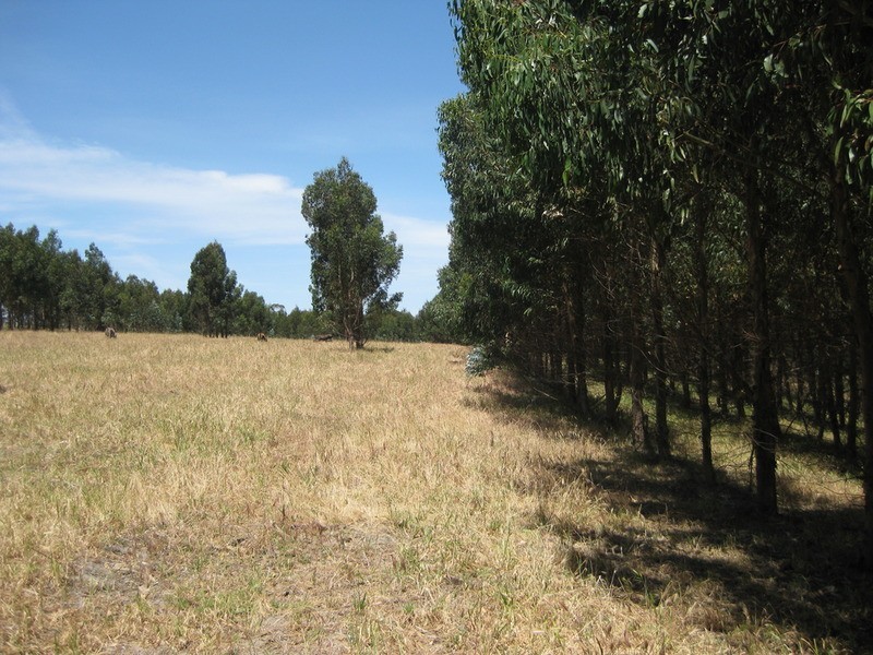Lot 202 Munetta  Road, Pages Flat SA 5172